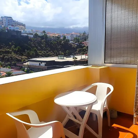 Palmera Del Mar *